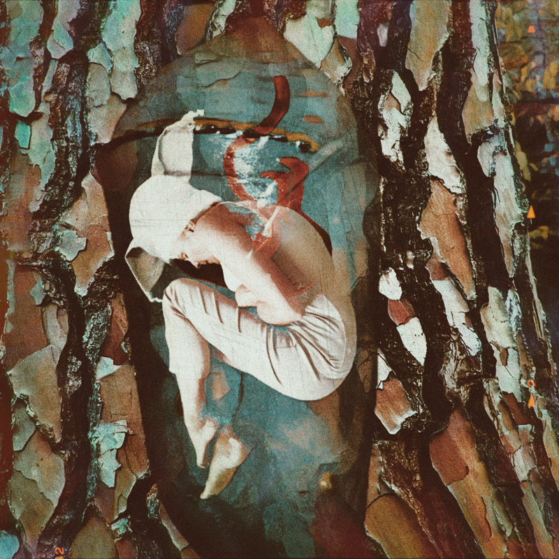 Queer Readings of Three Grimm Tales: Motifs and Themes