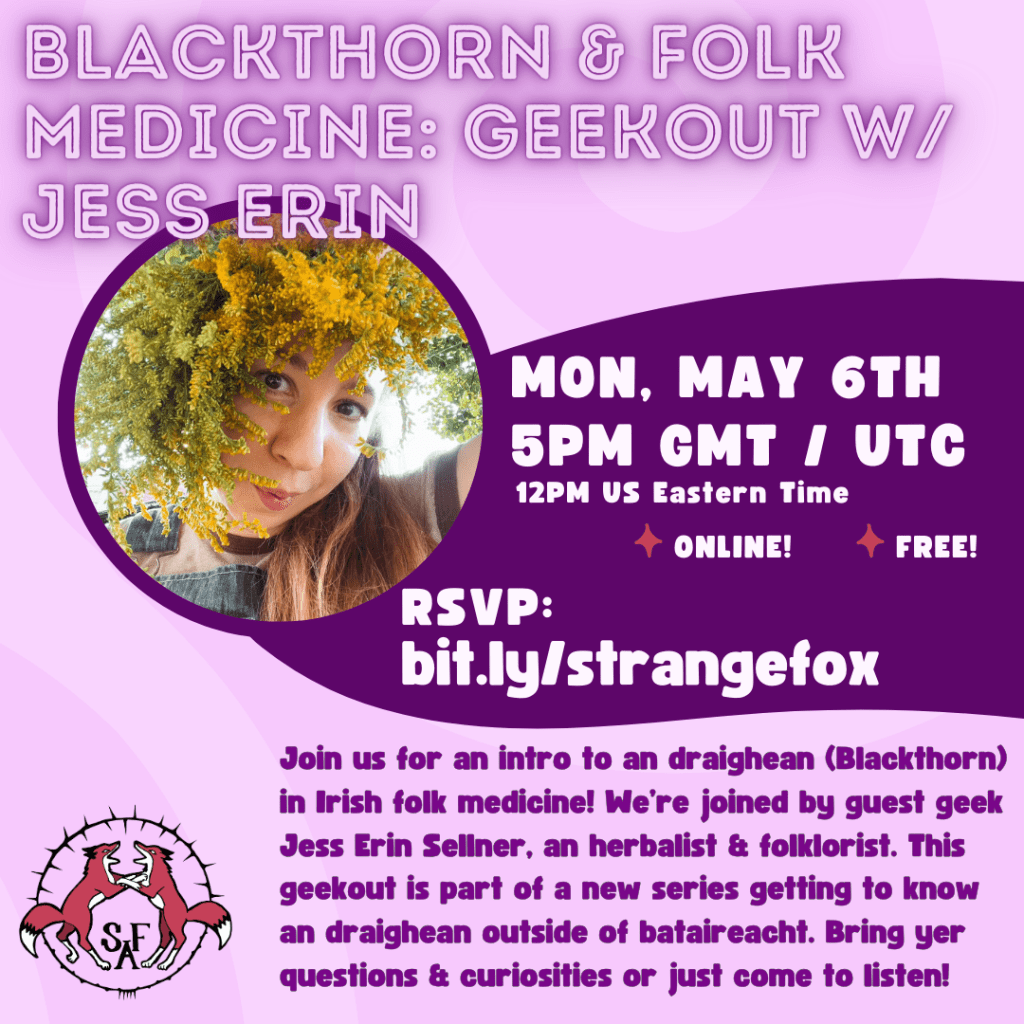 Blackthorn & Folk Medicine&nbsp;Geekout