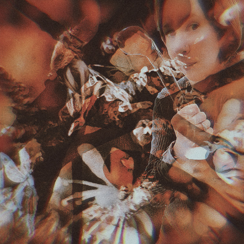 Shillelagh: Blackthorn in Action