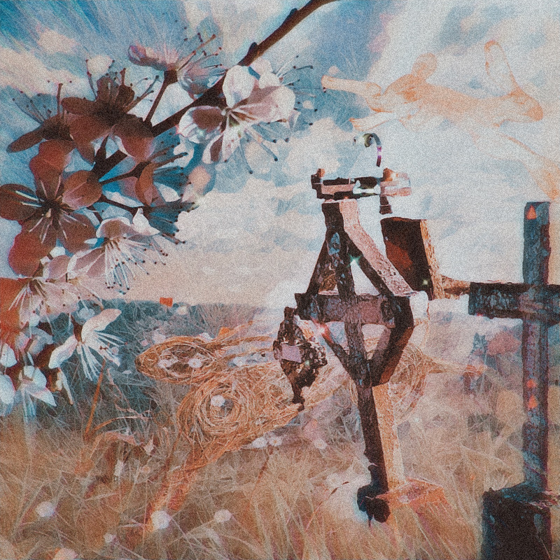 Blackthorn Relationships in Fairy Faith